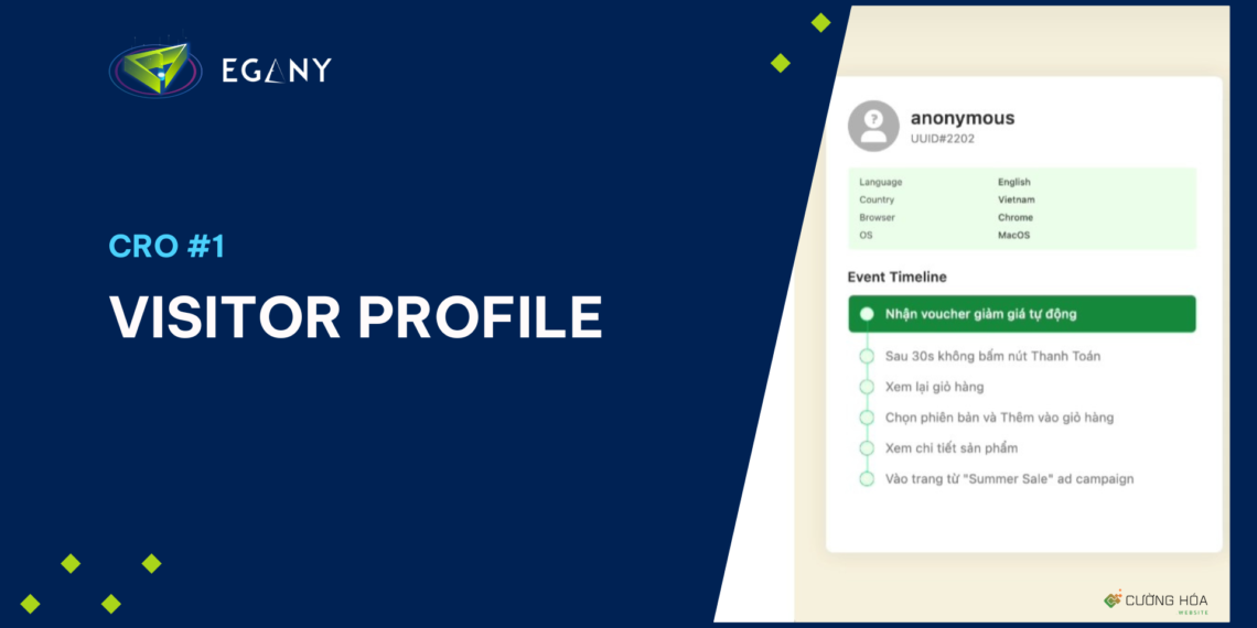 Ghi Nhận Dữ Liệu Khách Truy Cập Website (Visitor Profile)